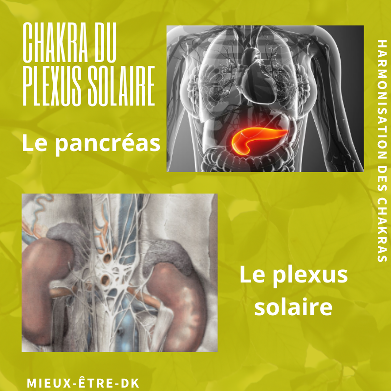 Le Plexus Solaire Image: Détendre Le Plexus Solaire Rapidement – WUTTL